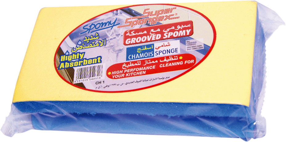 Grooved Sponge and Chammy
